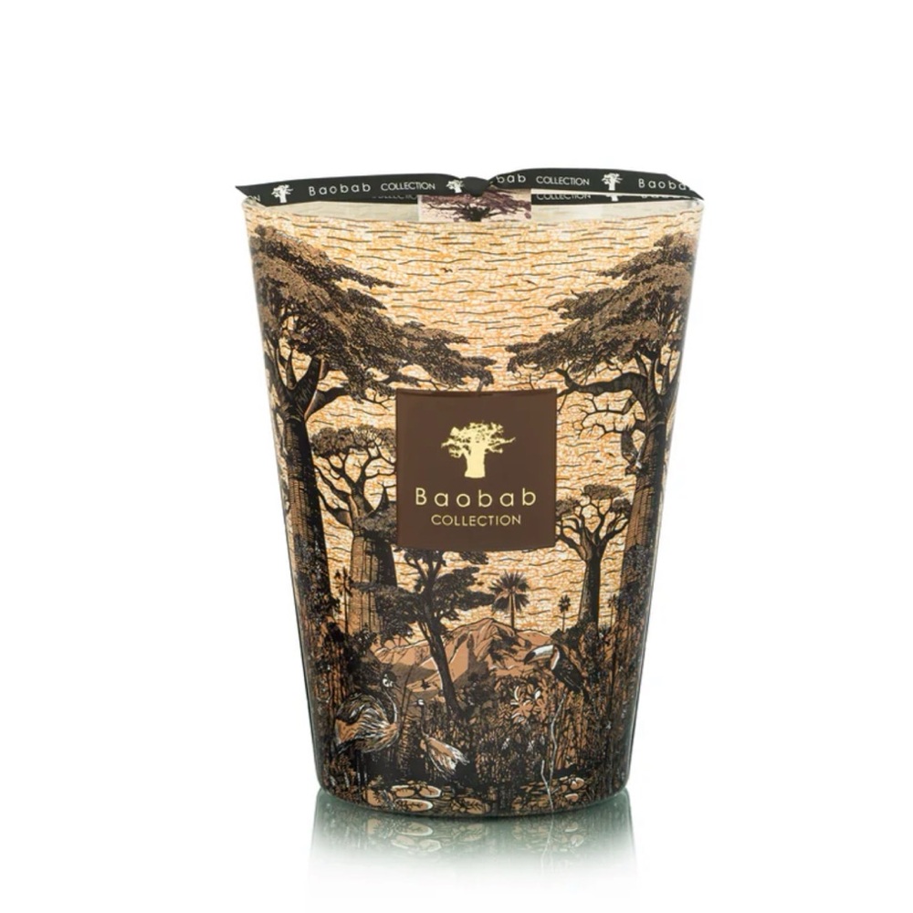 NEW Baobab Collection‎ Sacred Trees Mankono Max 24 Luxury Designer Candle
